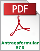 pdf antragsformular